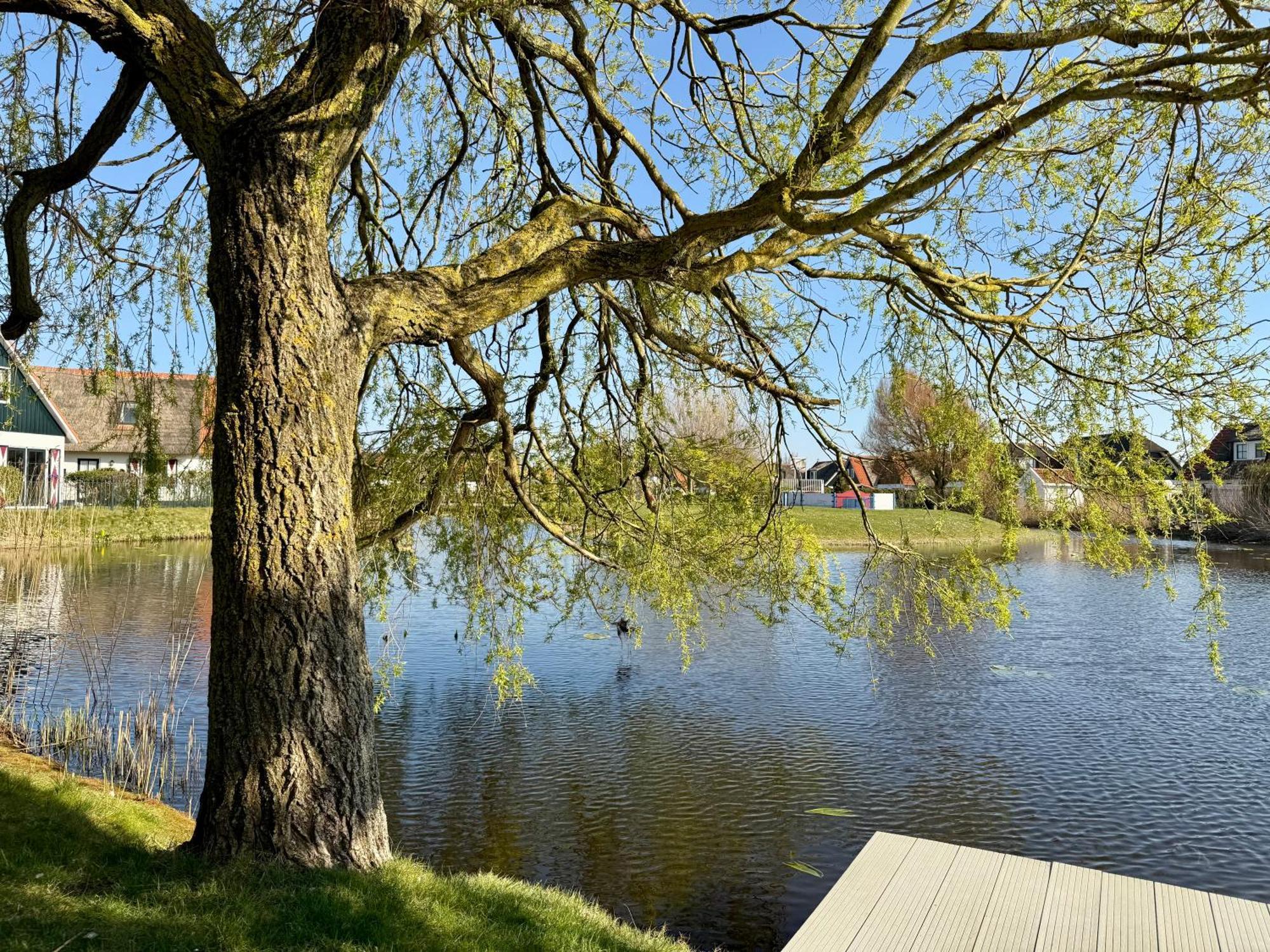 Villa Buitenplaats 47 Callantsoog Exteriör bild
